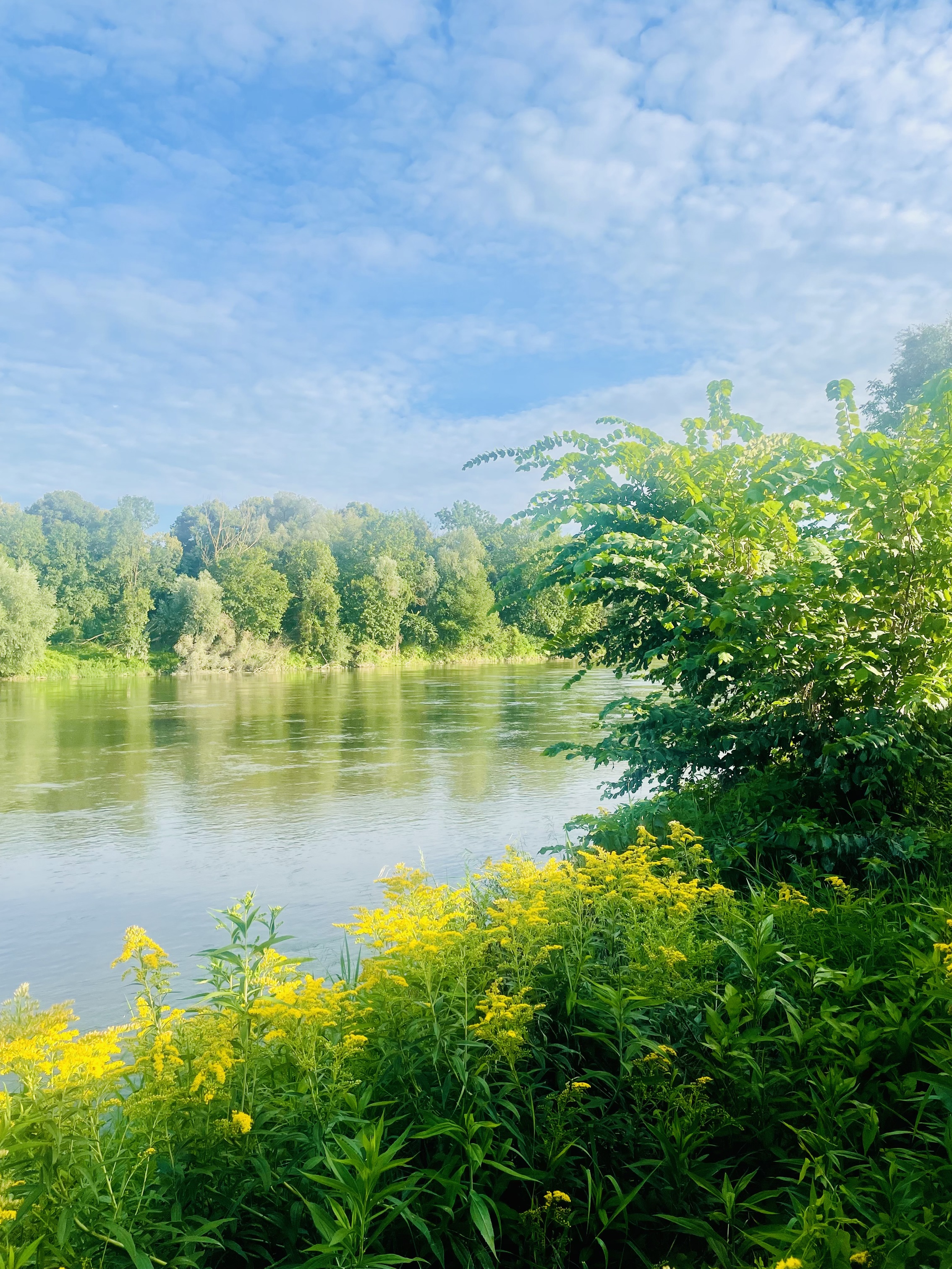 Walk&Talk für Frauen - Begegnung mit Bewegung